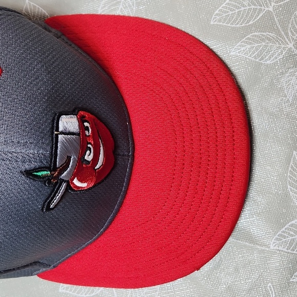 Fort Wayne Tin Caps Hat - Picture 2 of 8